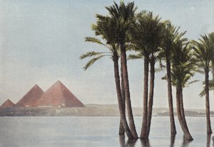 The Nile Flood